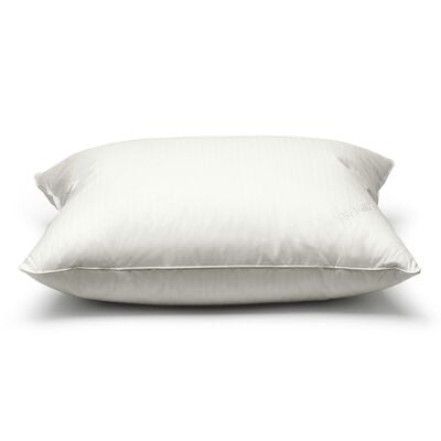 Medium Pillow (Extra High)