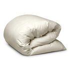 Paisley 다운 퀼트 커버 image number 0